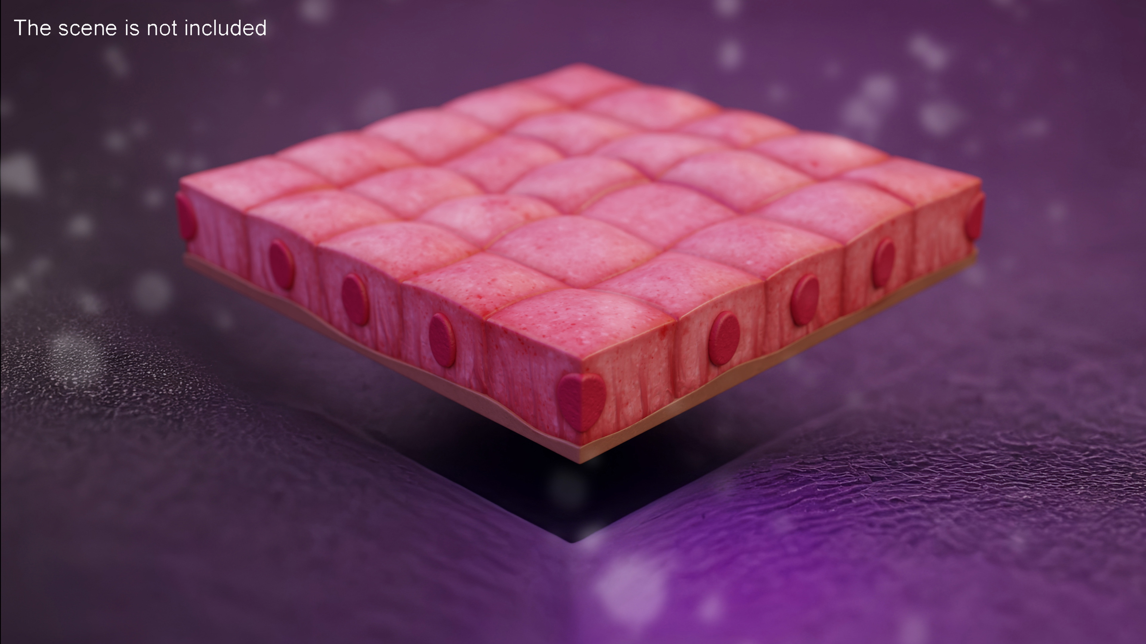 Cuboidal Epithelium 3D model
