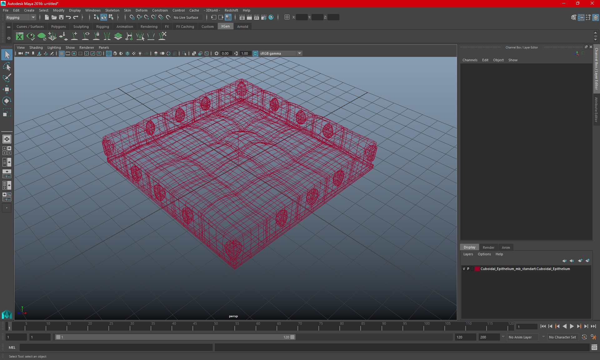 Cuboidal Epithelium 3D model
