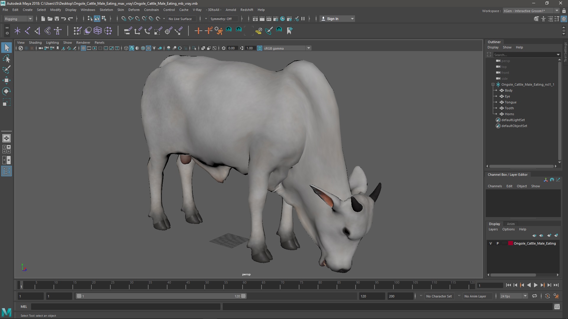 3D model Ongole Cattle Male Eating