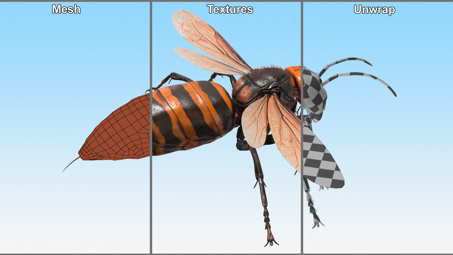 3D model Huge Hornet Fur Base Pose