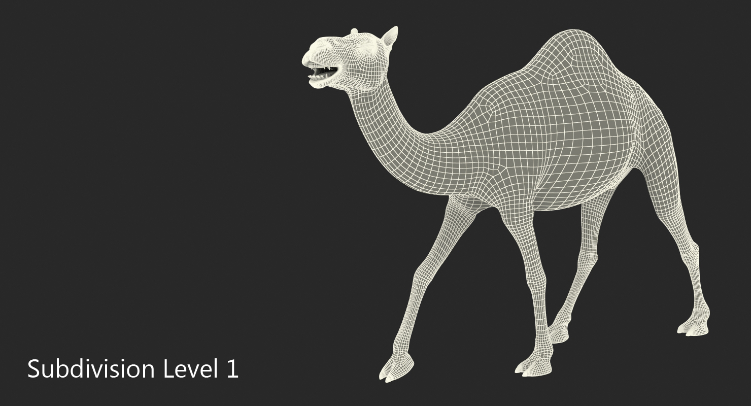 Camel Walking Pose With Fur 3D
