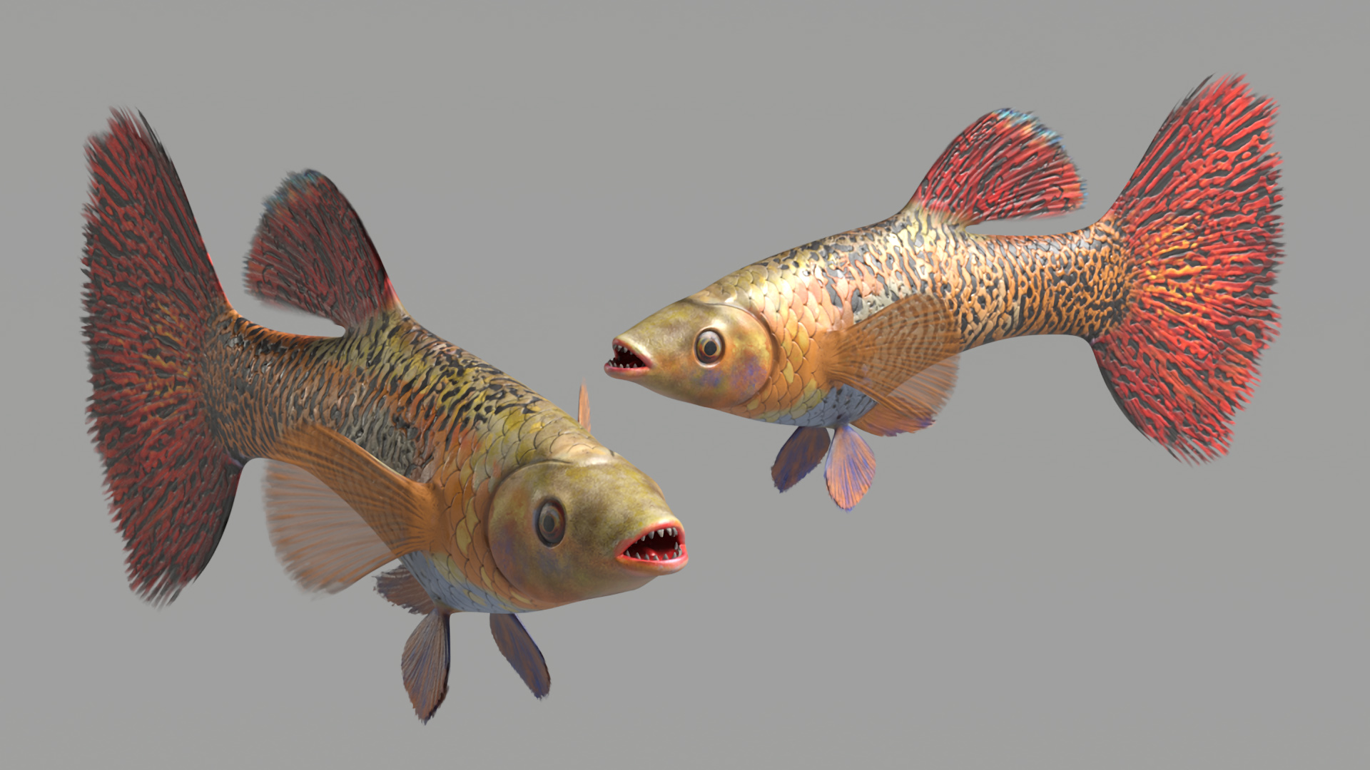 3D Guppy Fish Red Snake Rigged for Maya