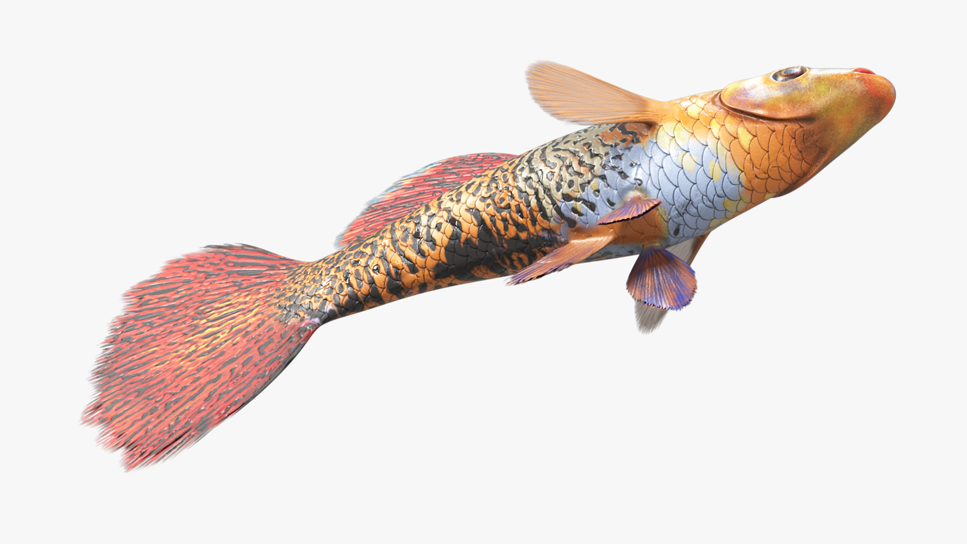 3D Guppy Fish Red Snake Rigged for Maya