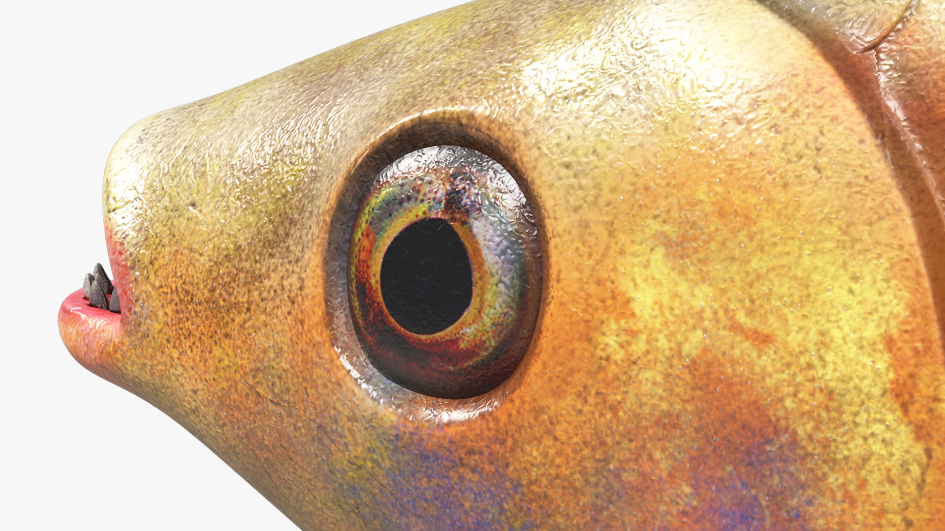 3D Guppy Fish Red Snake Rigged for Maya