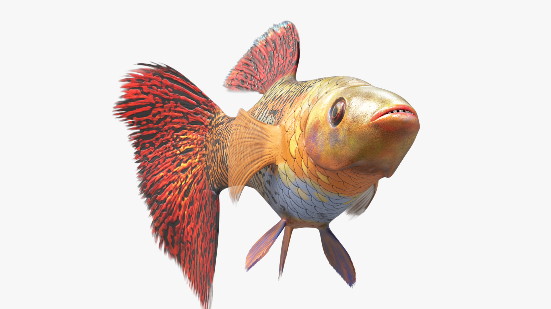 3D Guppy Fish Red Snake Rigged for Maya