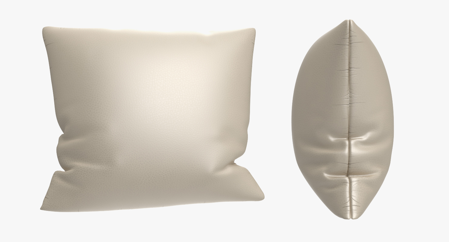 Leather Pillow 3D model