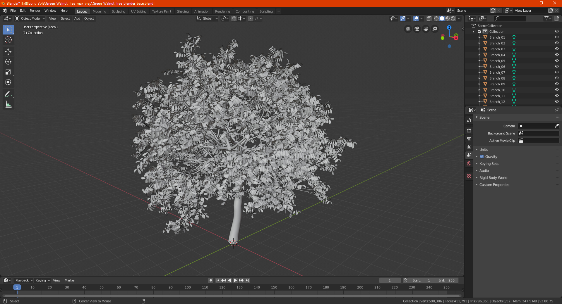 Green Walnut Tree 3D