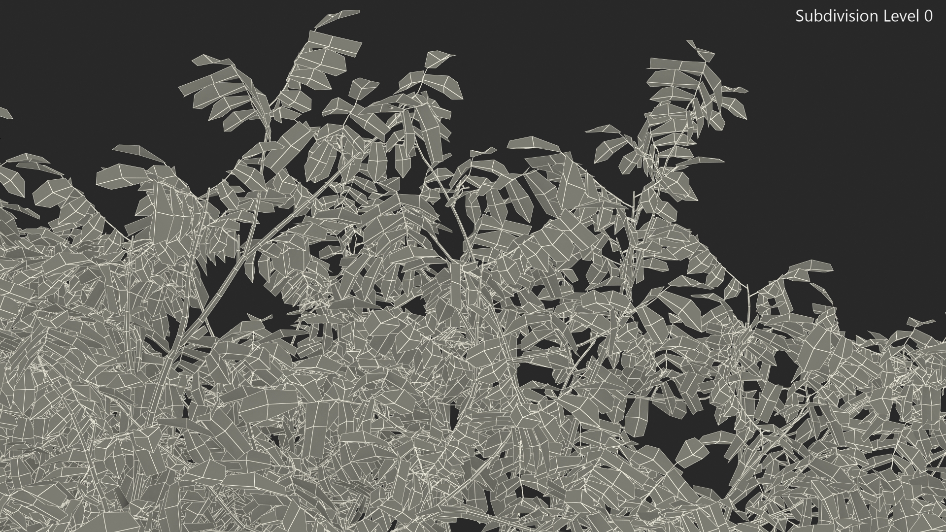 Green Walnut Tree 3D