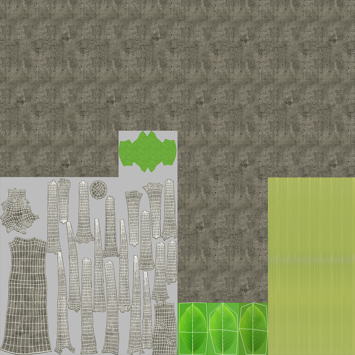 Green Walnut Tree 3D