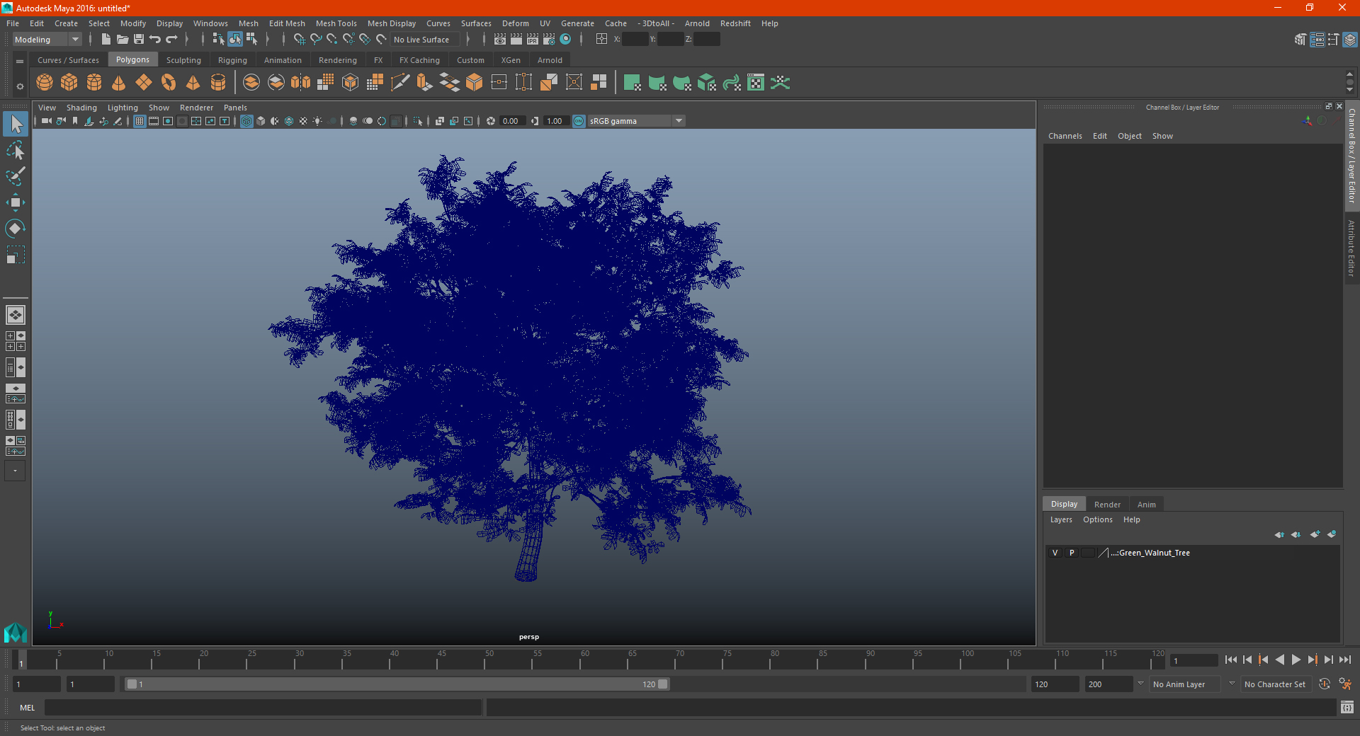 Green Walnut Tree 3D