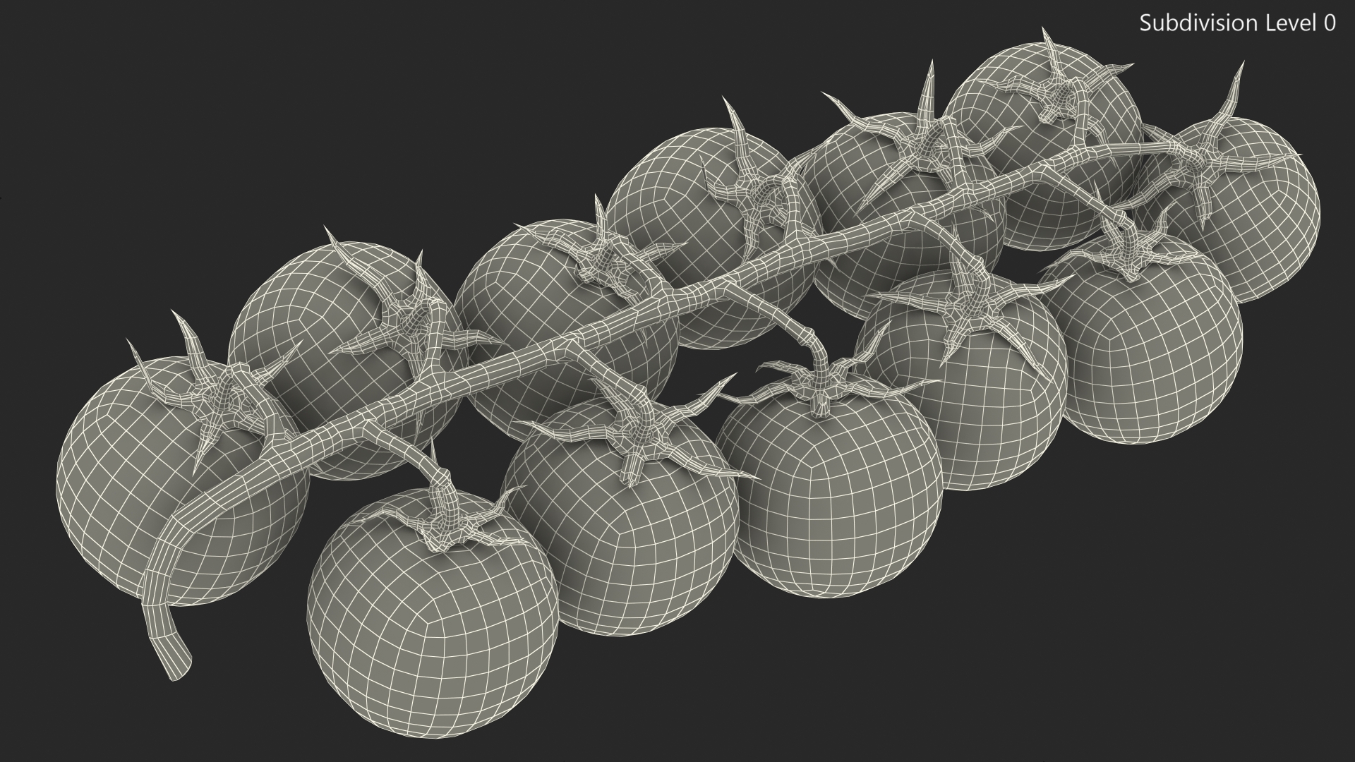 Cherry Tomatoes on the Vine 3D