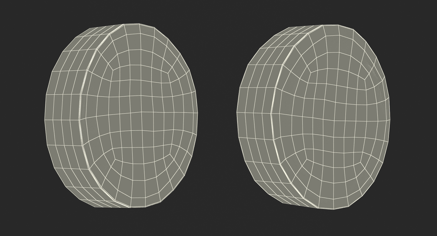 3D Zucchini Section