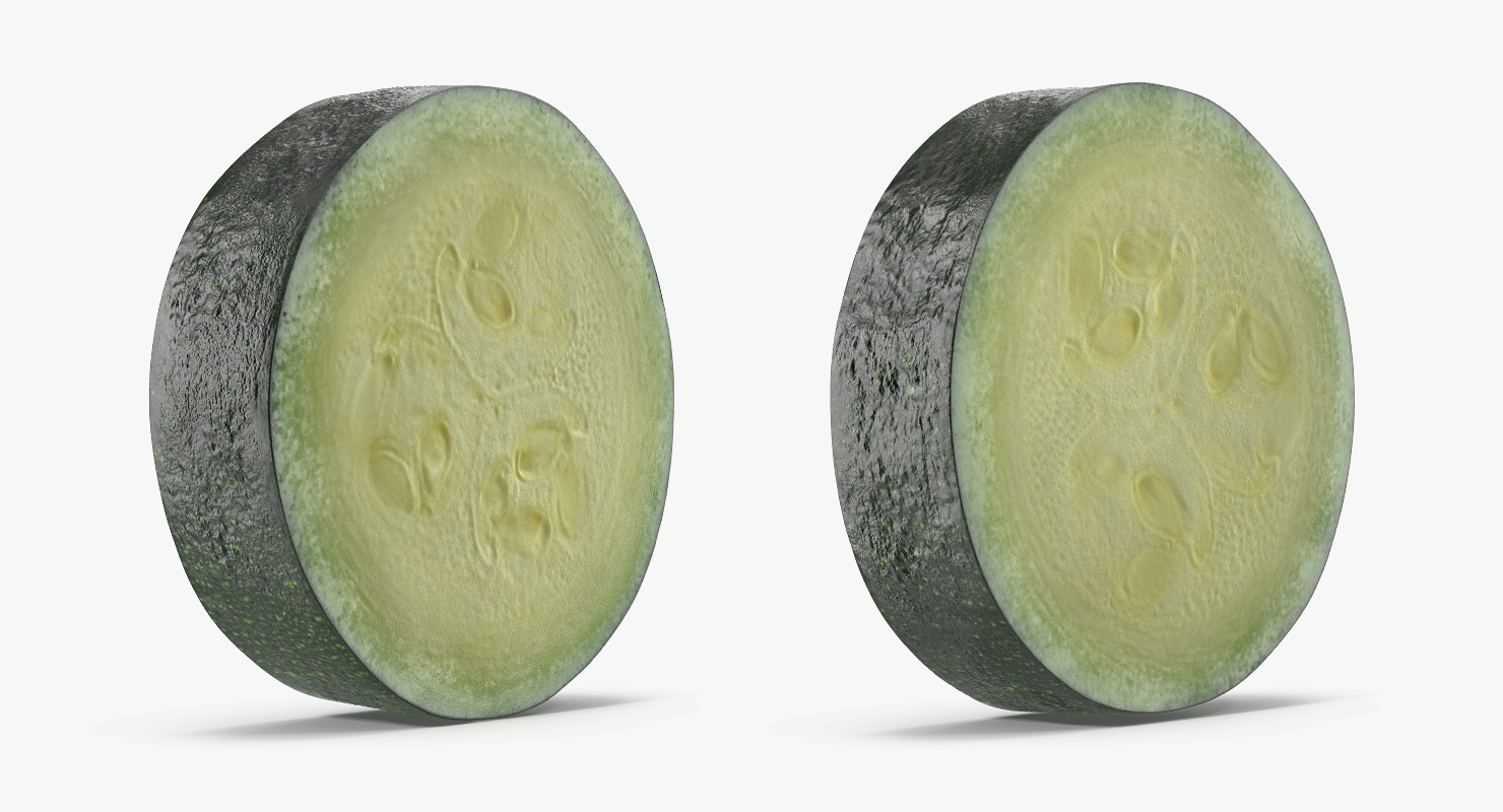 3D Zucchini Section