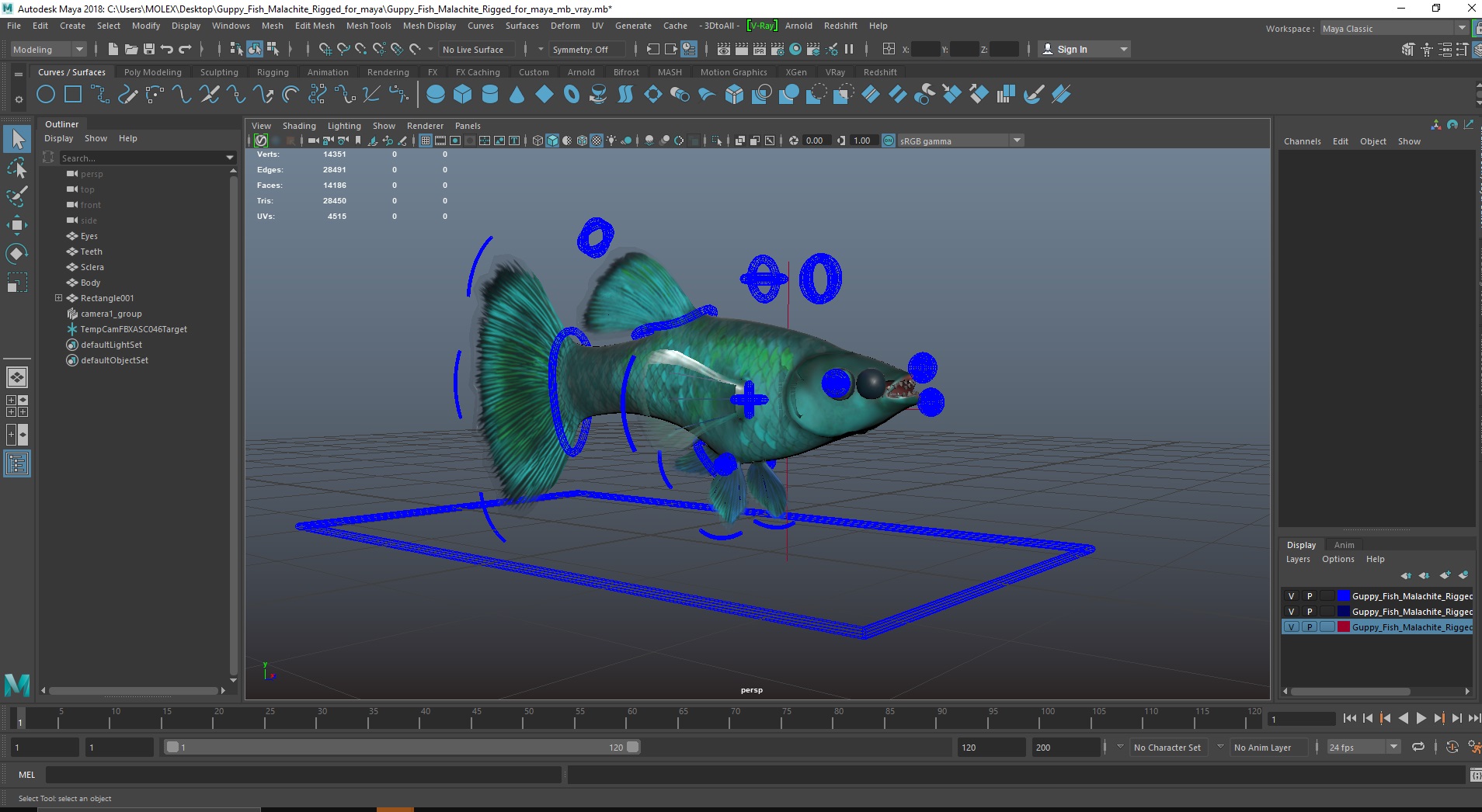 3D Guppy Fish Malachite Rigged for Maya
