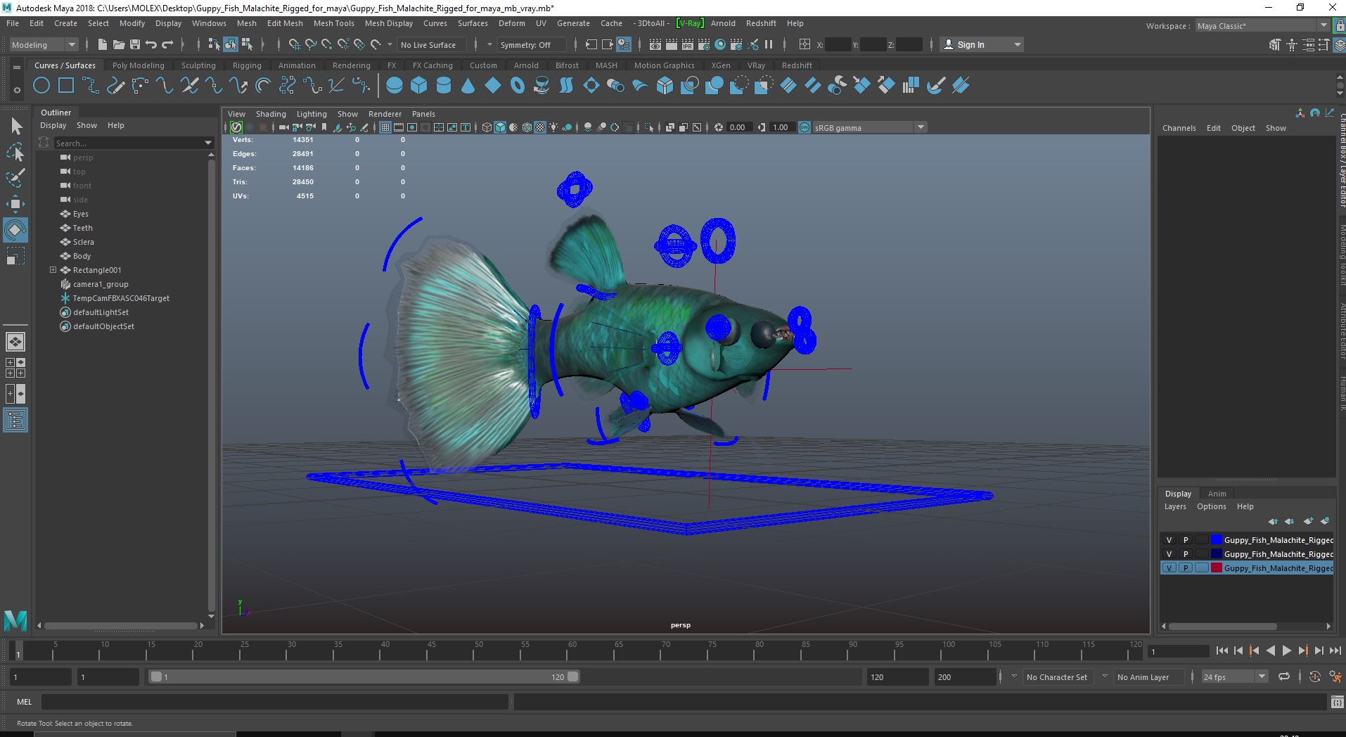 3D Guppy Fish Malachite Rigged for Maya