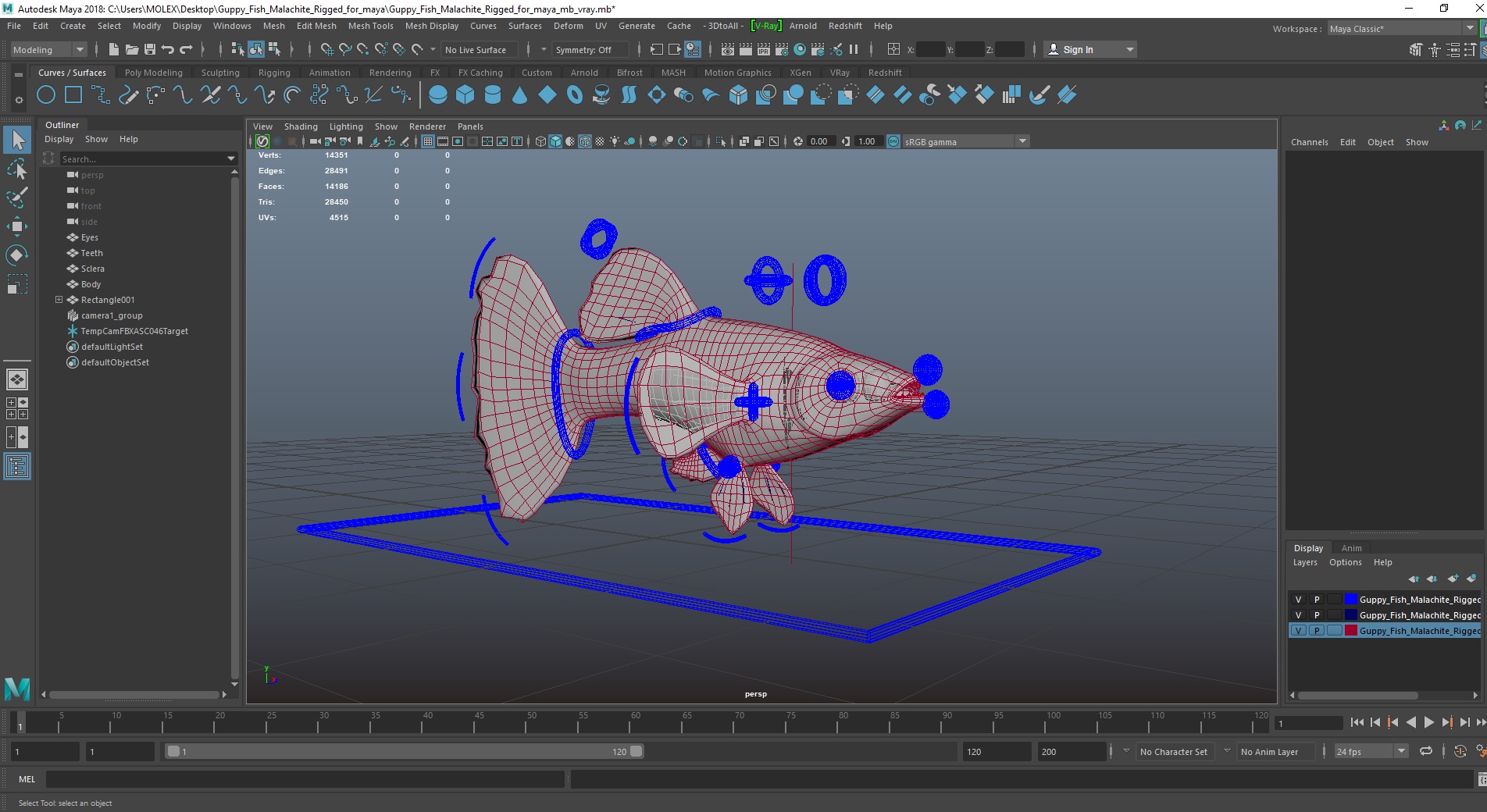 3D Guppy Fish Malachite Rigged for Maya