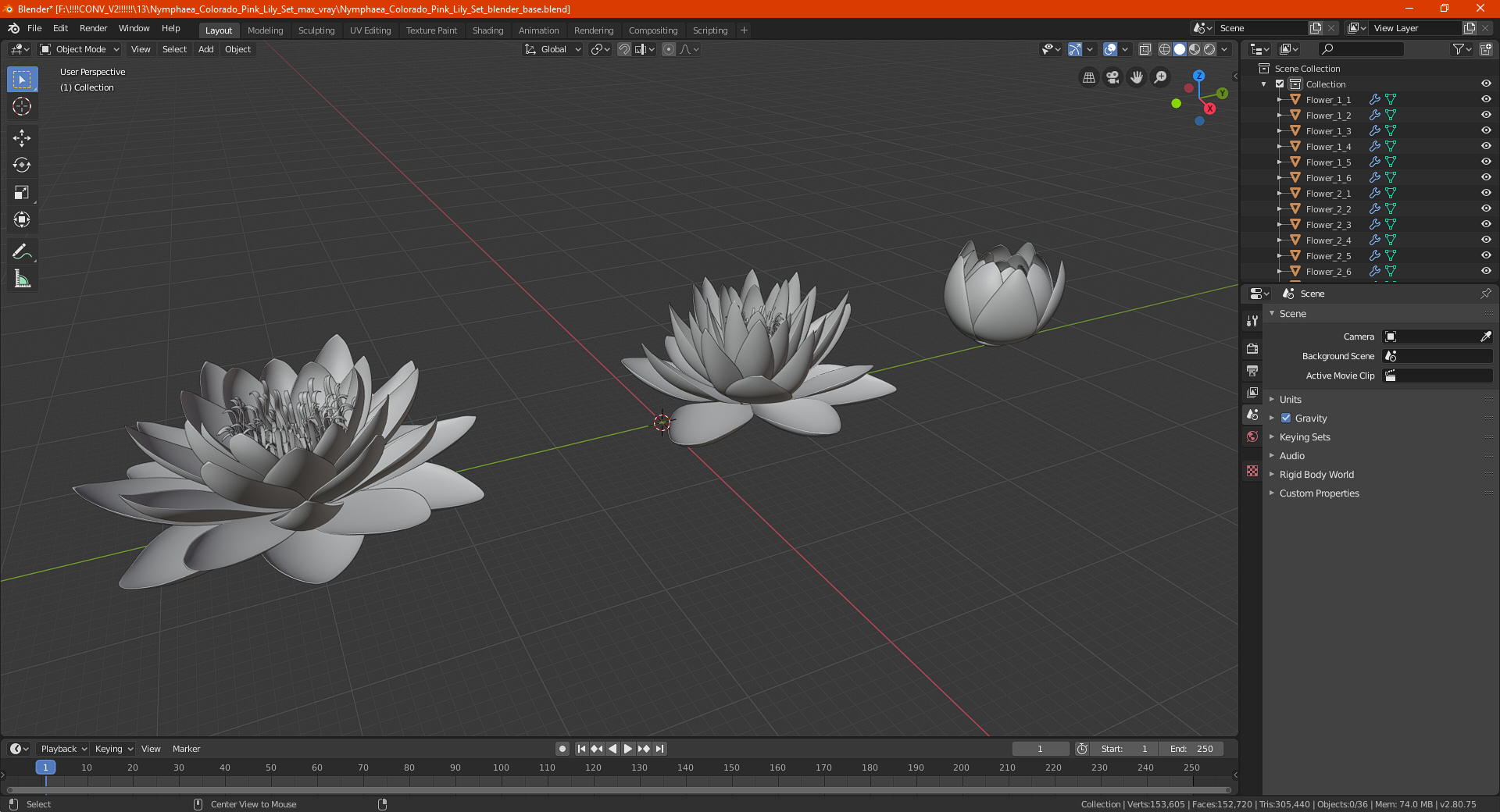 3D Nymphaea Colorado Pink Lily Set