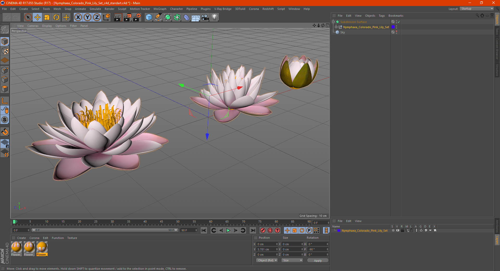 3D Nymphaea Colorado Pink Lily Set