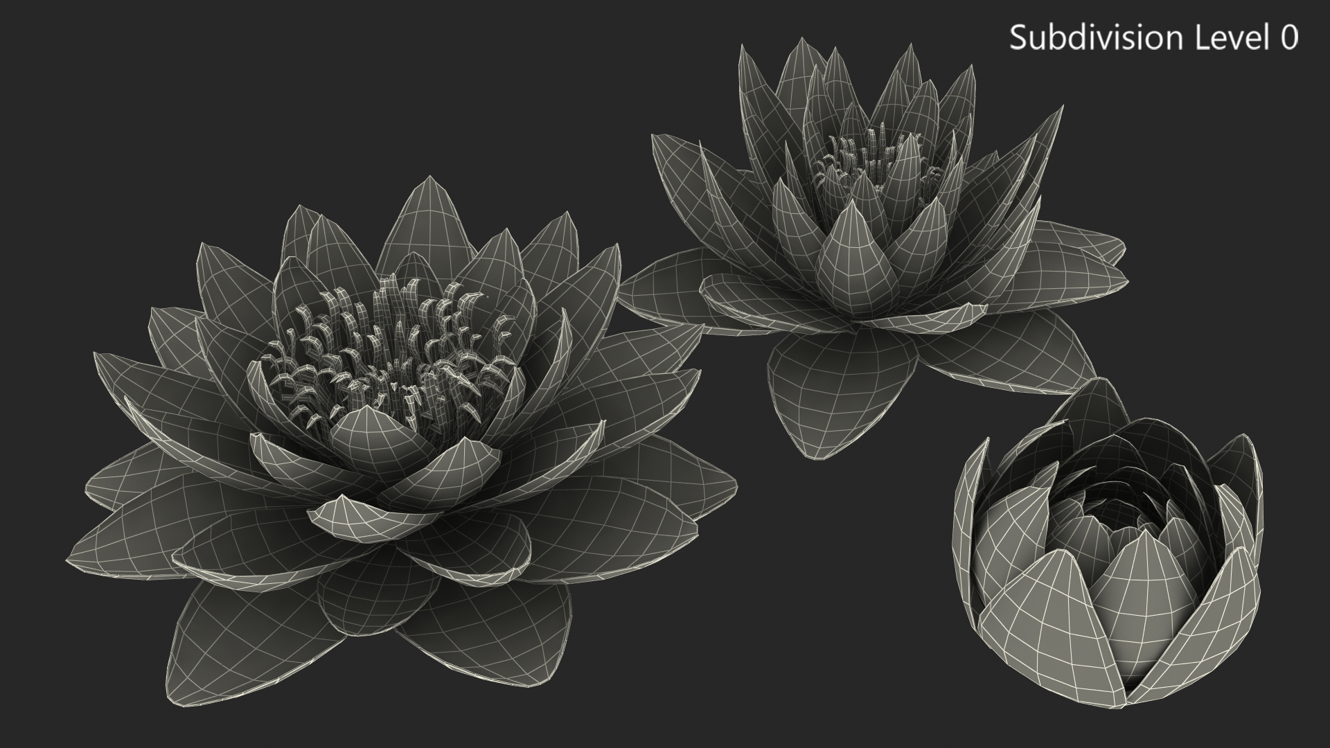 3D Nymphaea Colorado Pink Lily Set