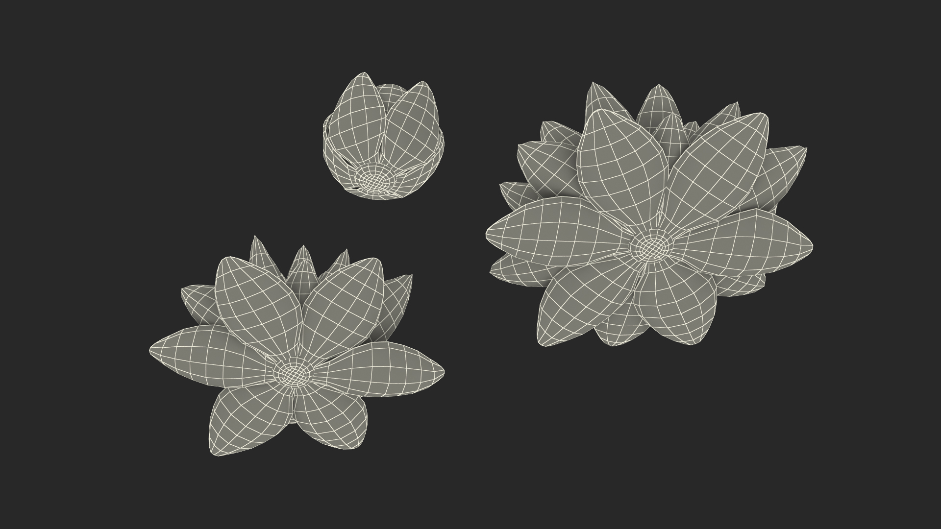3D Nymphaea Colorado Pink Lily Set