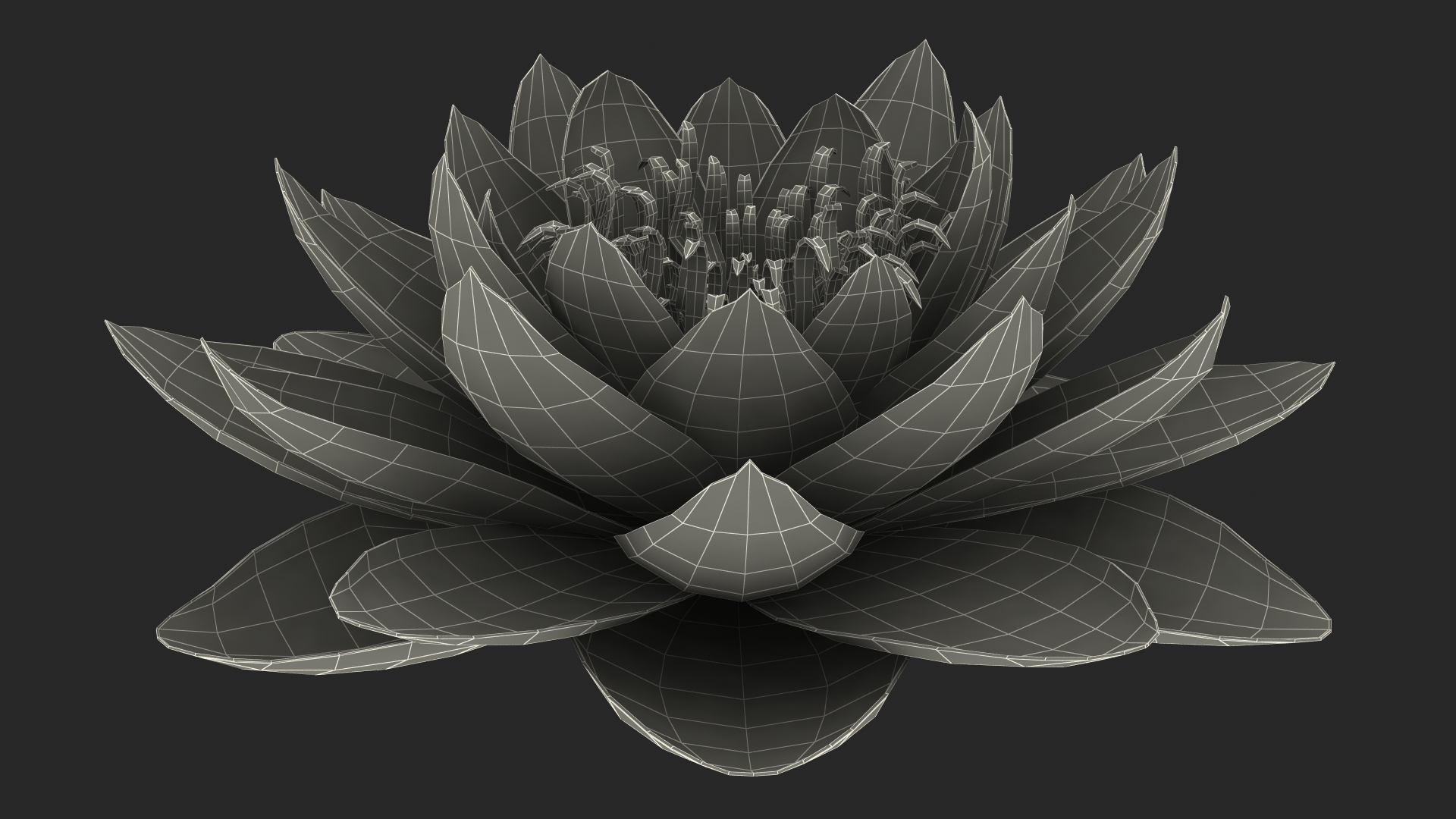 3D Nymphaea Colorado Pink Lily Set
