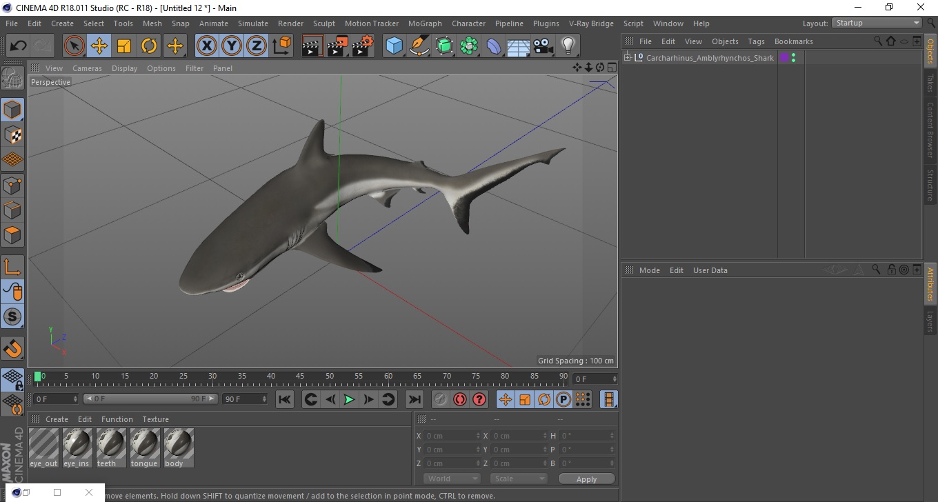 Carcharhinus Amblyrhynchos Shark 3D