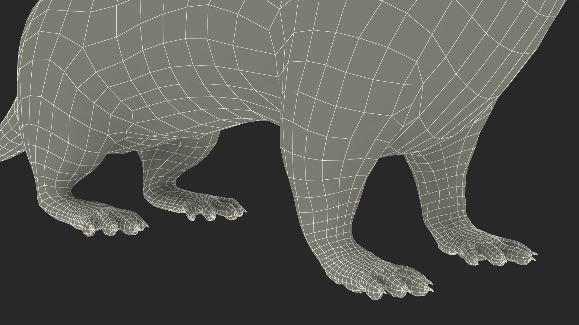 3D model Ermine Mammal White Rigged for Cinema 4D