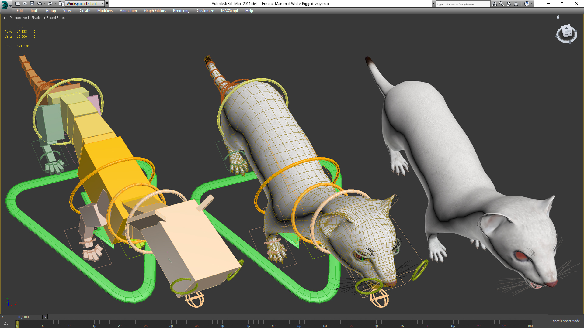 3D model Ermine Mammal White Rigged for Cinema 4D