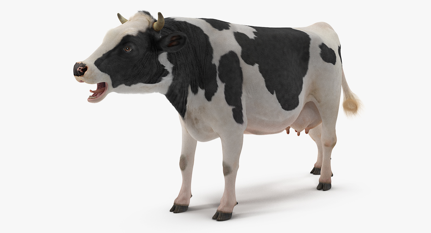 3D Animated Cow Eating Rigged