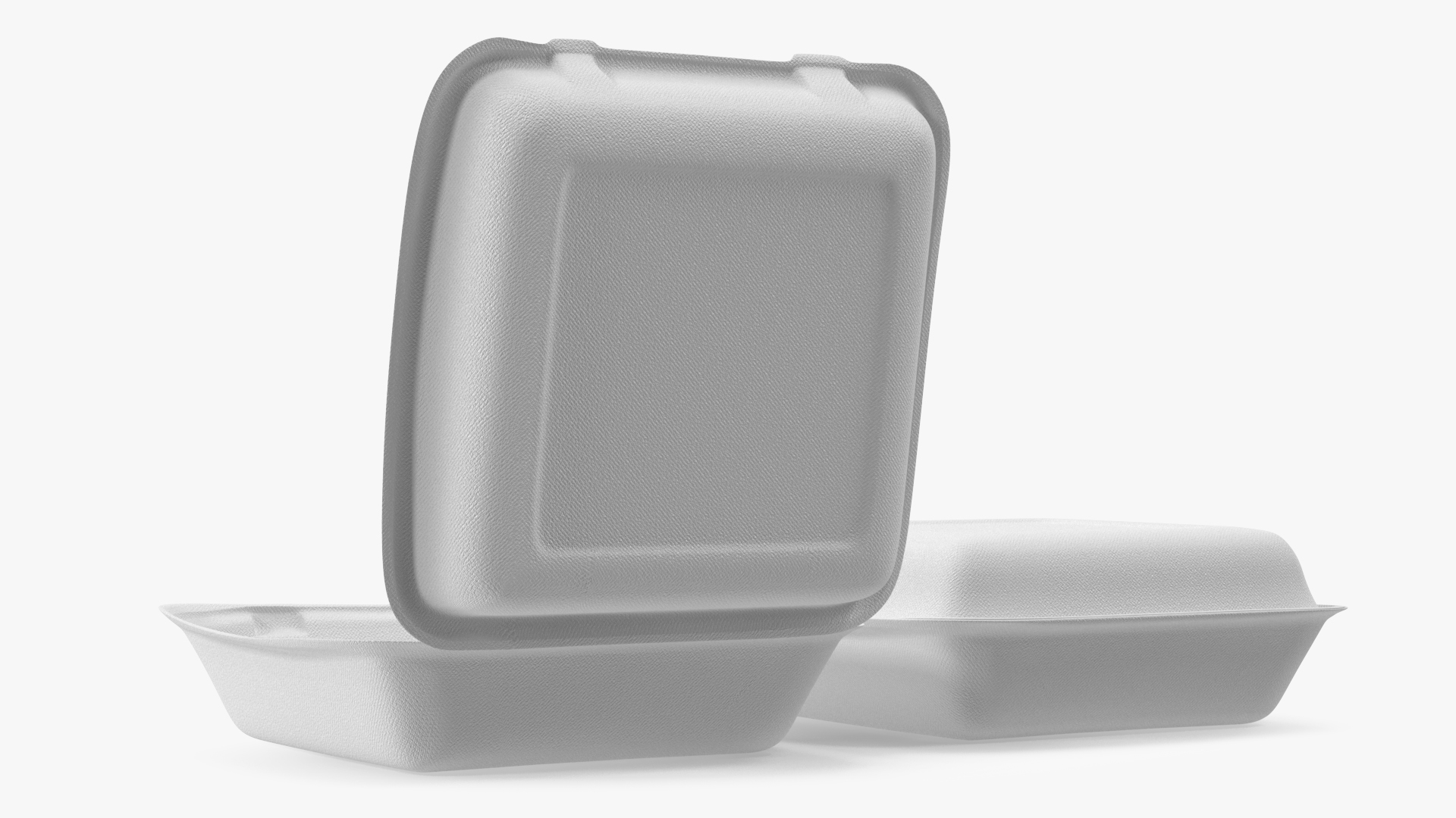 3D model Compostable Food Container Set