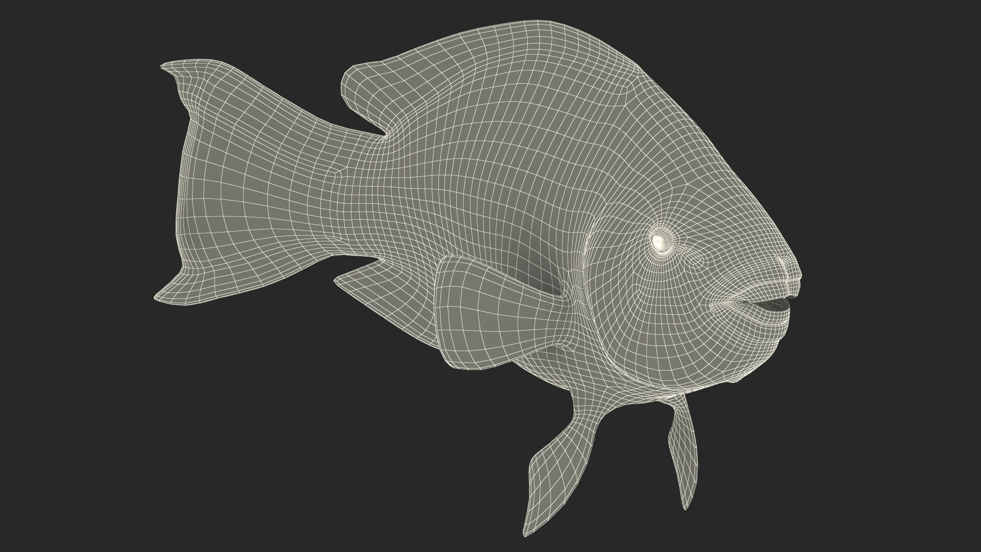 3D model Yellow Coral Parrotfish Rigged
