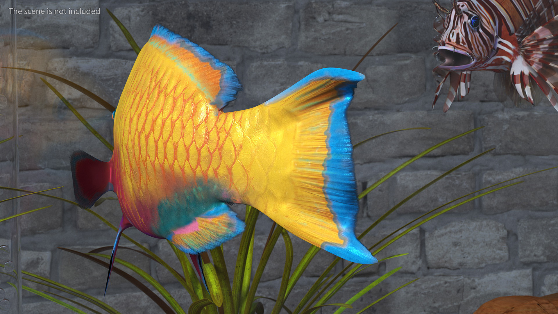 3D model Yellow Coral Parrotfish Rigged