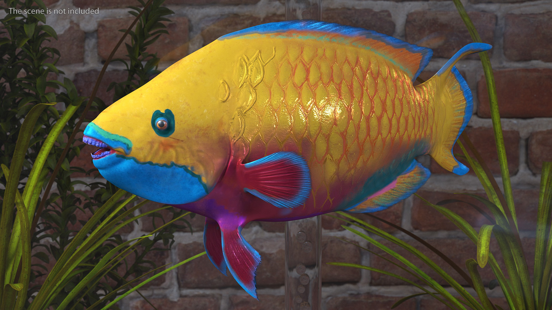 3D model Yellow Coral Parrotfish Rigged