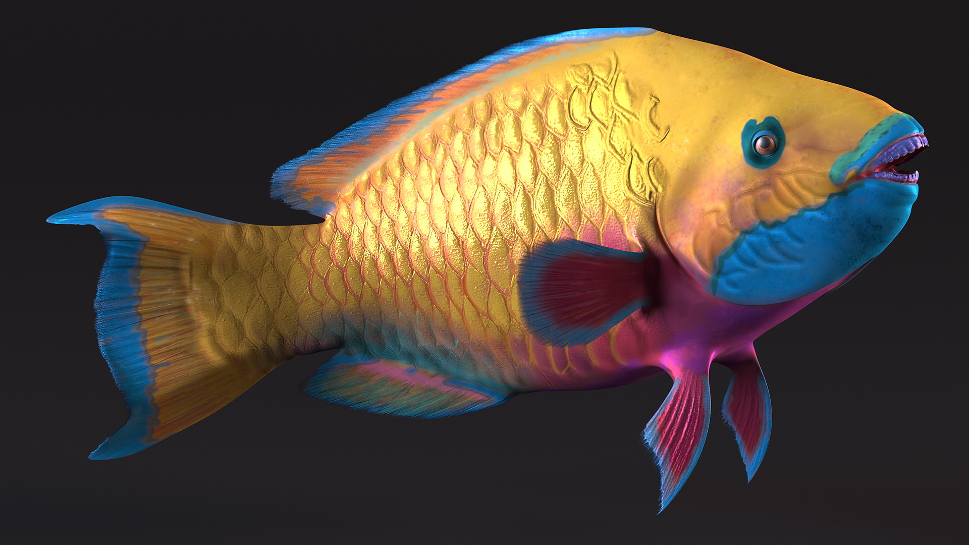 3D model Yellow Coral Parrotfish Rigged