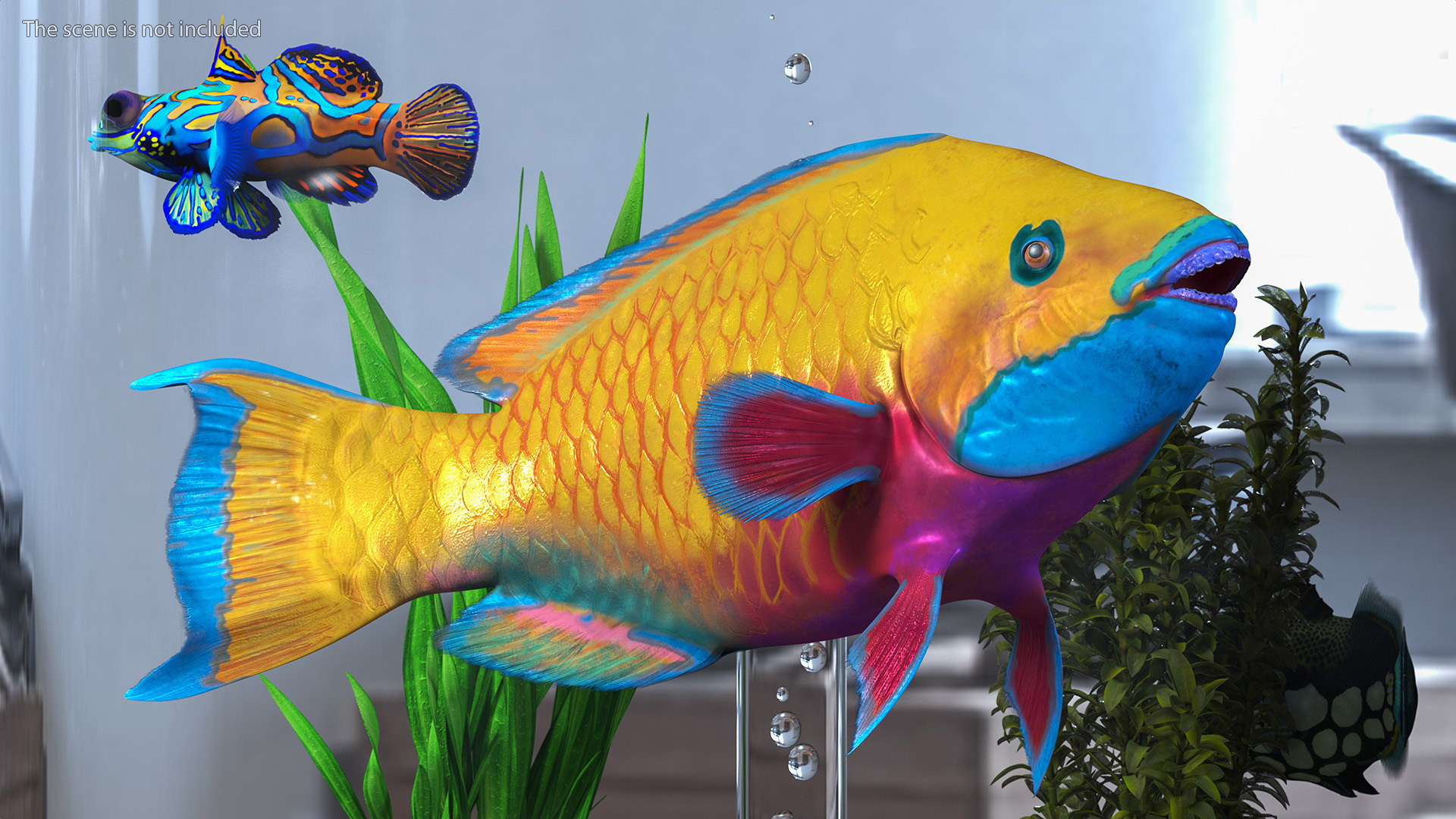 3D model Yellow Coral Parrotfish Rigged