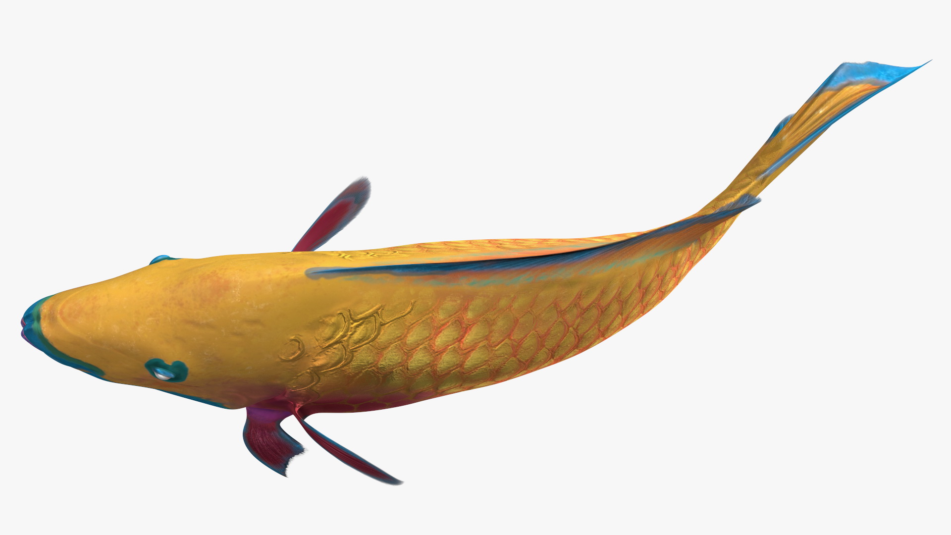 3D model Yellow Coral Parrotfish Rigged
