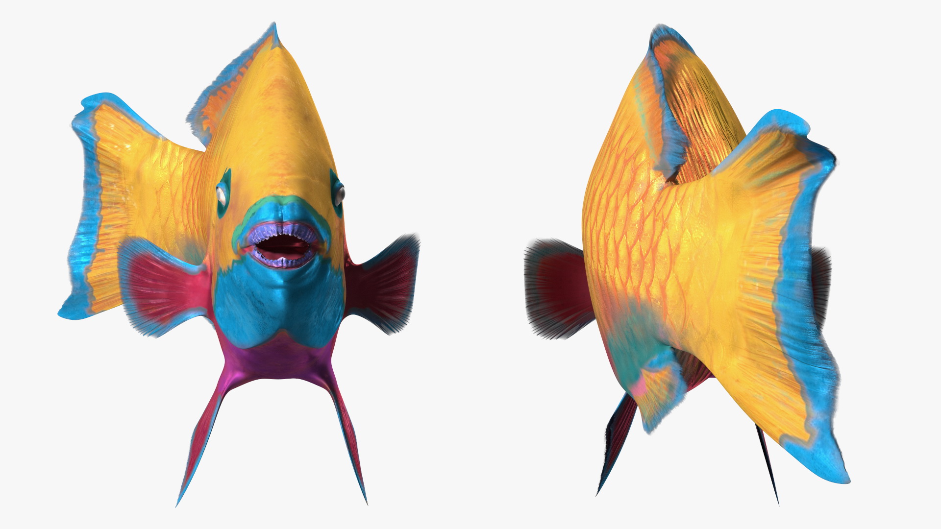 3D model Yellow Coral Parrotfish Rigged