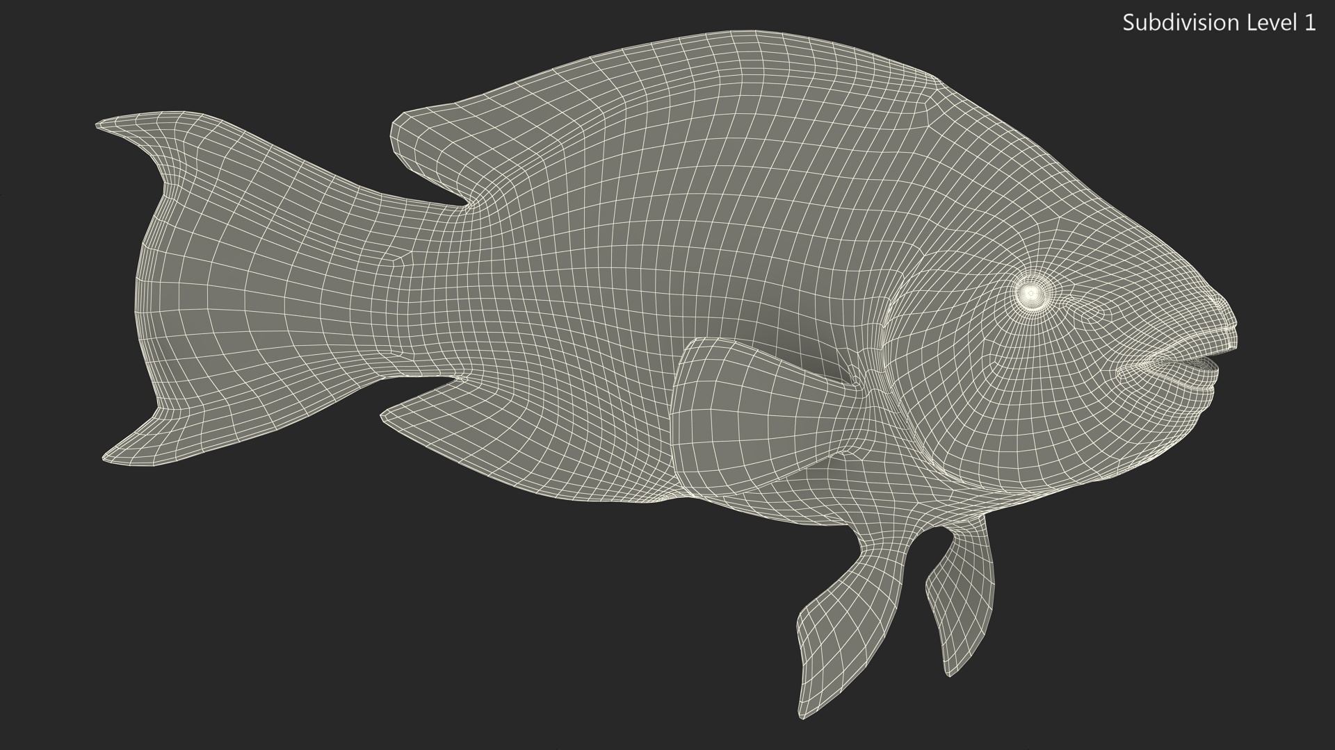 3D model Yellow Coral Parrotfish Rigged