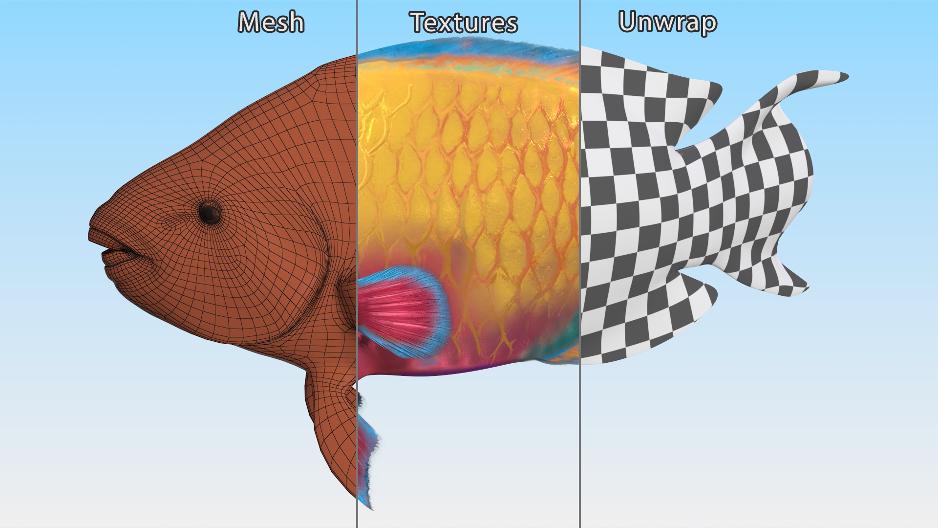 3D model Yellow Coral Parrotfish Rigged