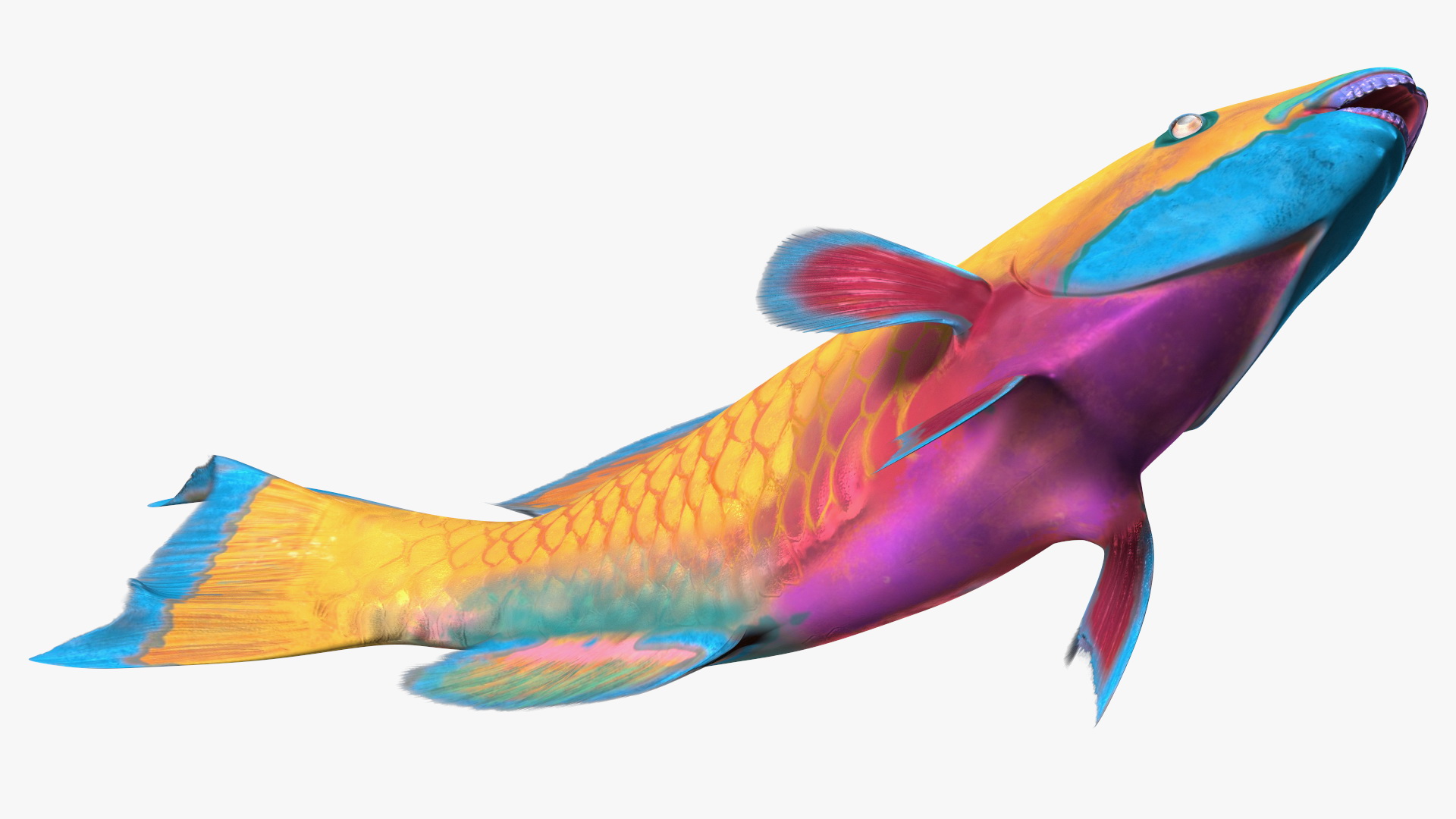 3D model Yellow Coral Parrotfish Rigged