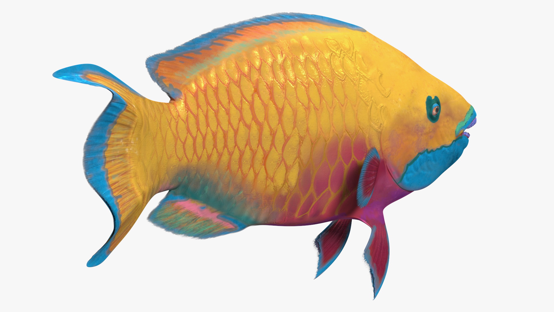 3D model Yellow Coral Parrotfish Rigged
