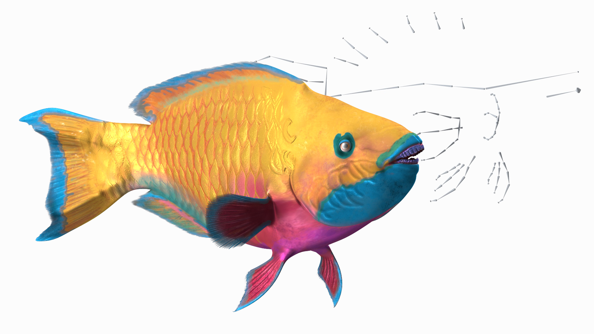 3D model Yellow Coral Parrotfish Rigged