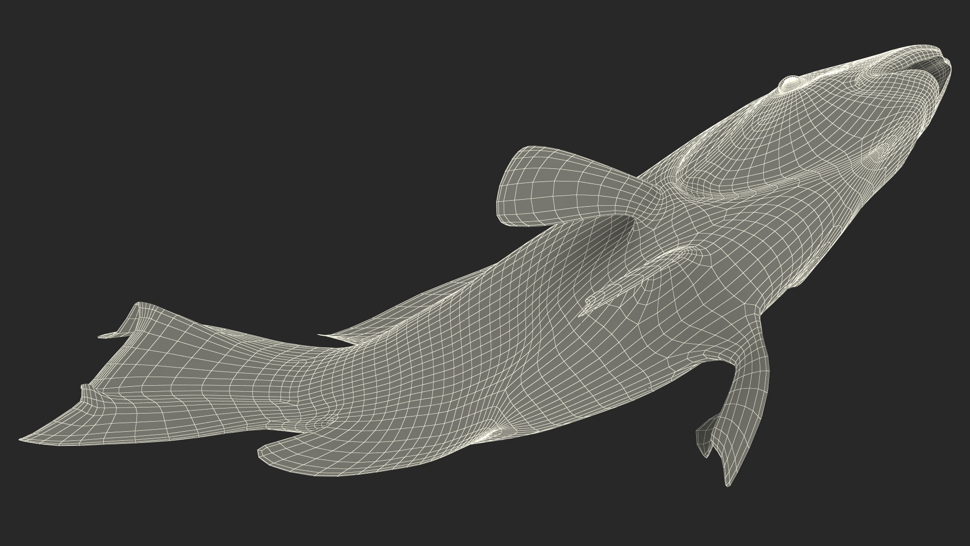 3D model Yellow Coral Parrotfish Rigged