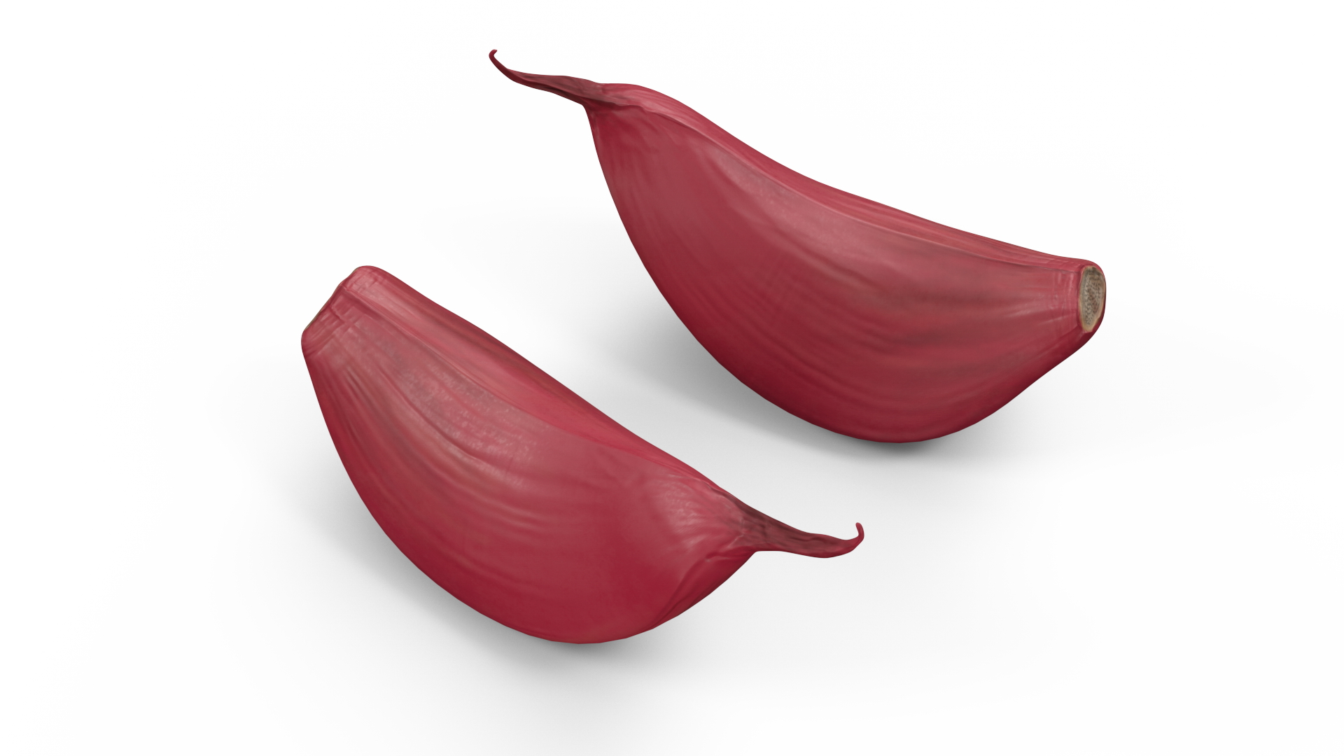3D Clove Garlic Red