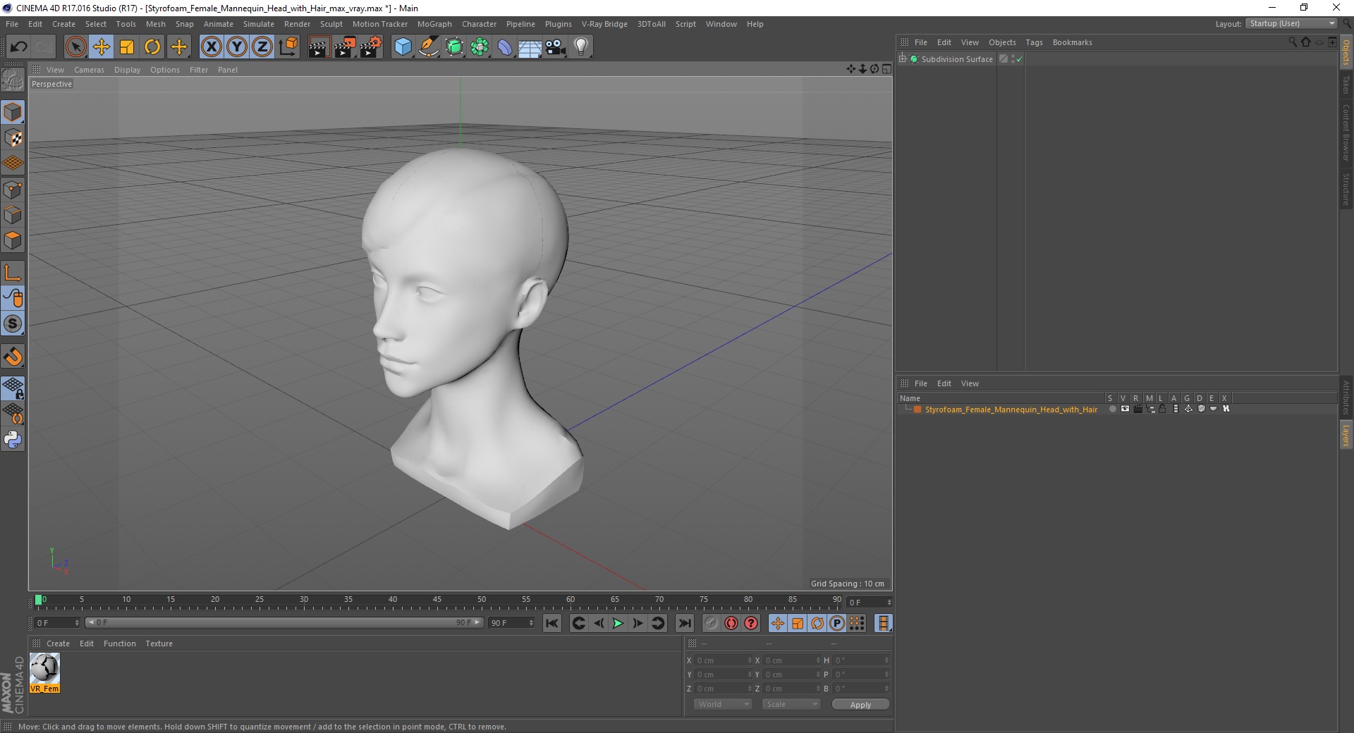 3D Styrofoam Female Mannequin Head with Hair