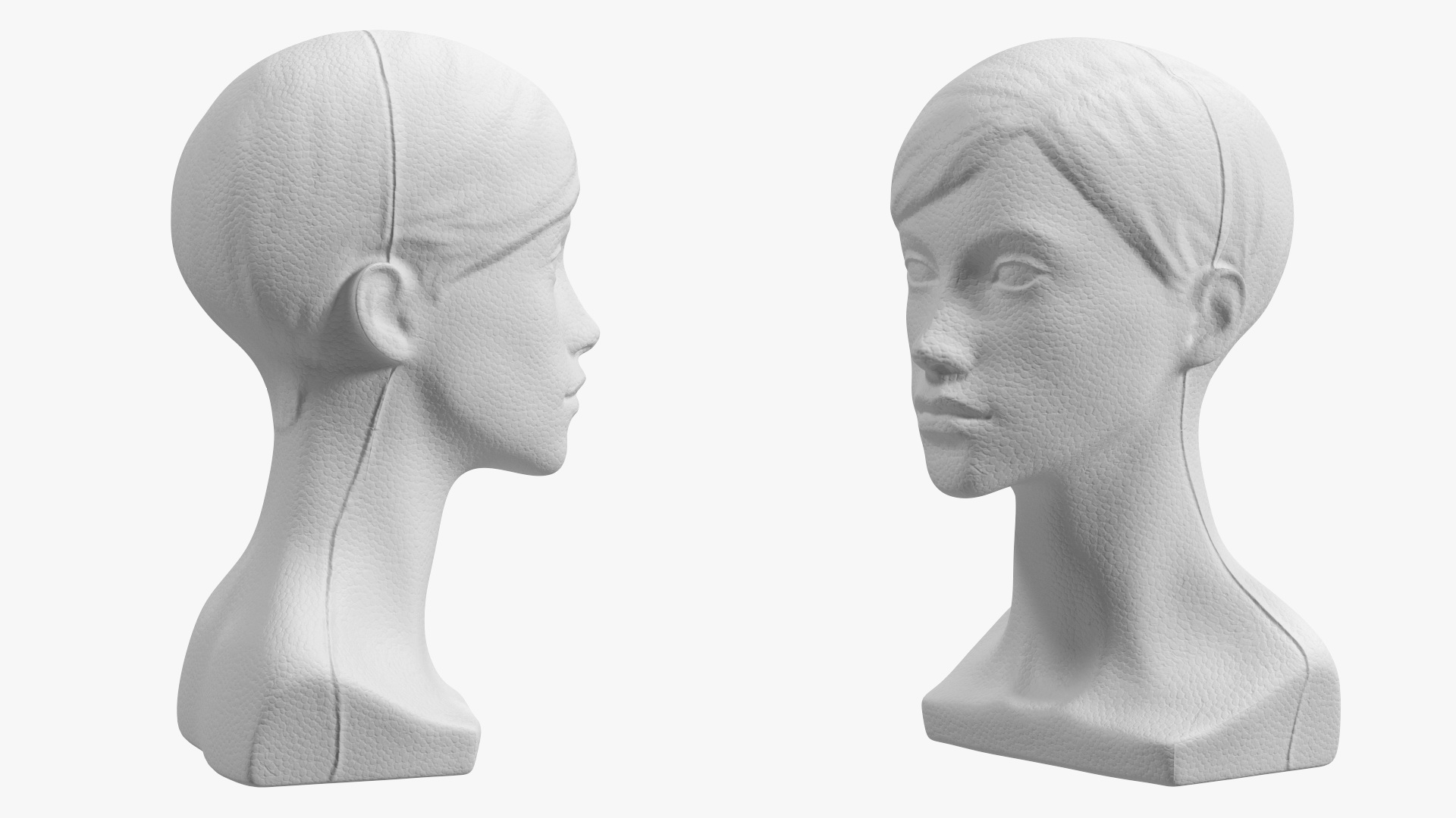 3D Styrofoam Female Mannequin Head with Hair