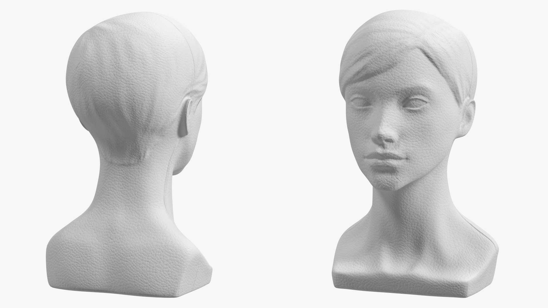 3D Styrofoam Female Mannequin Head with Hair