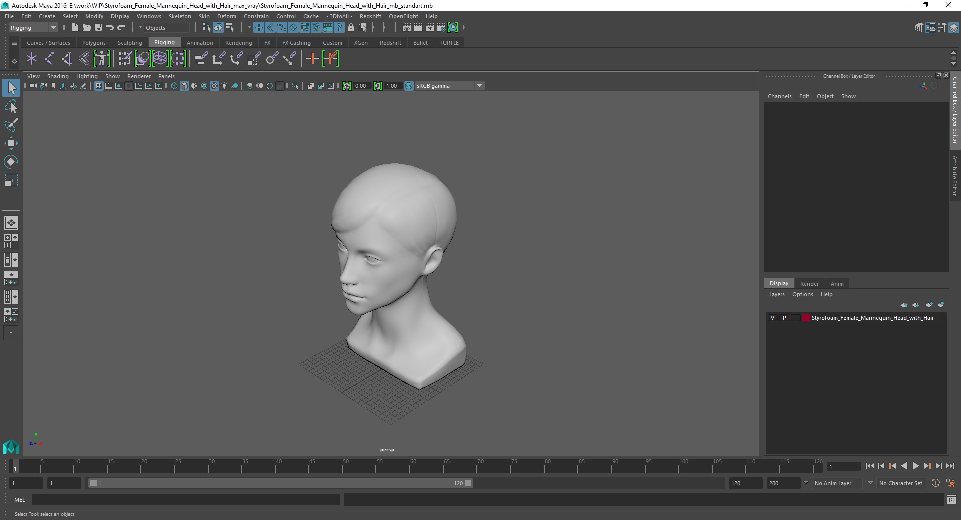 3D Styrofoam Female Mannequin Head with Hair
