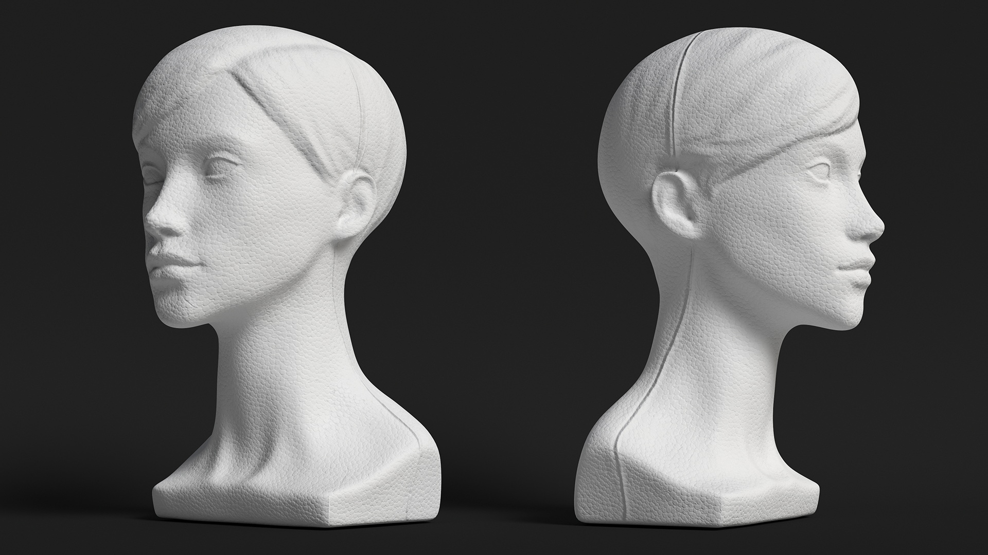 3D Styrofoam Female Mannequin Head with Hair