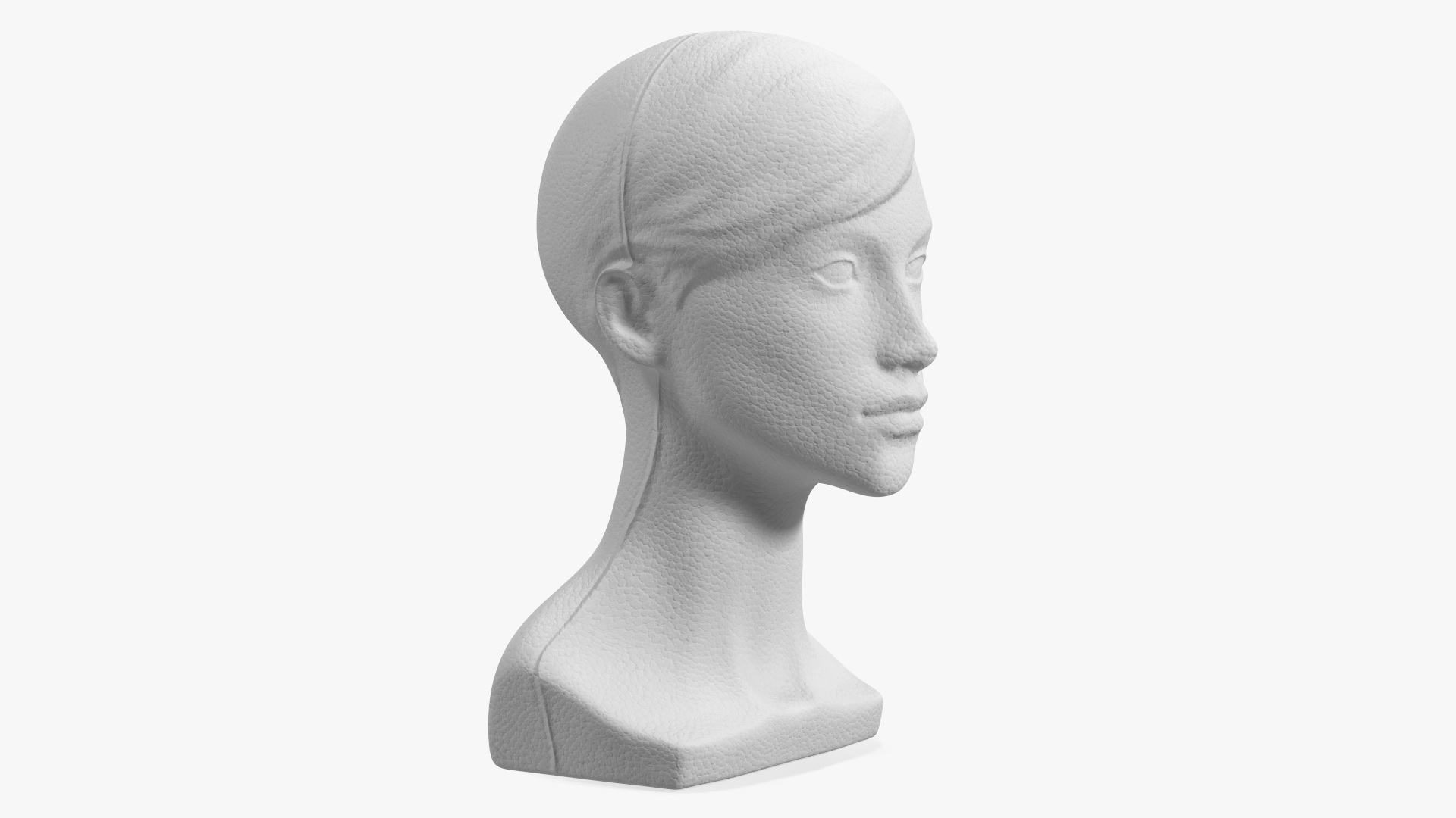 3D Styrofoam Female Mannequin Head with Hair
